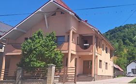 Casa Ofrim, Barsana, Maramures